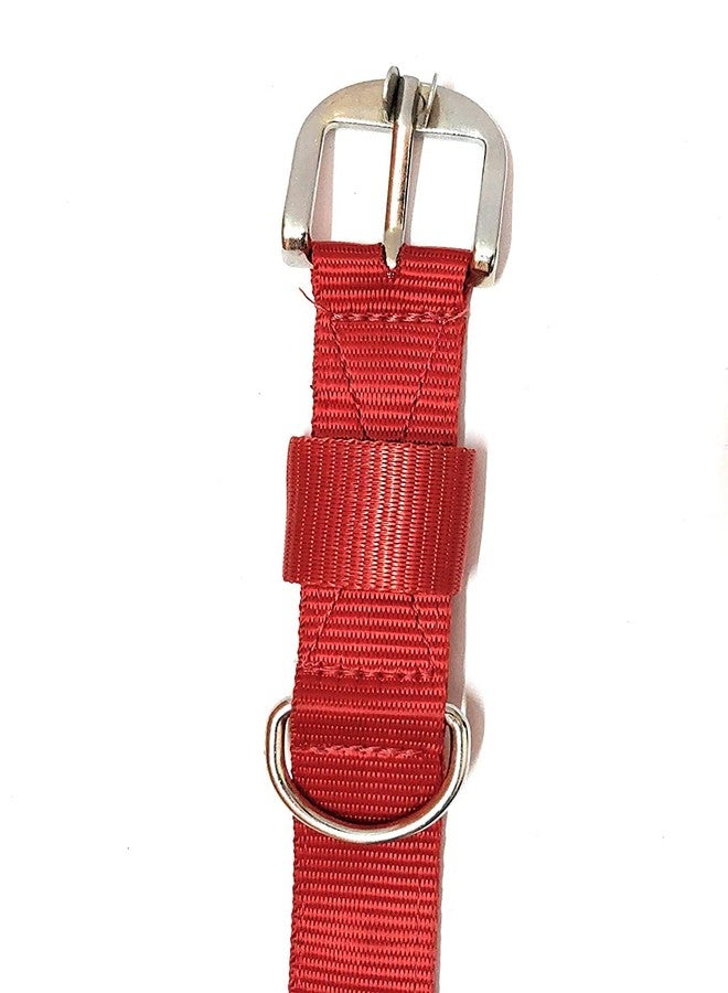 Pups&Pets طقم حبل وطوق للكلاب من Pups&Pets - طوق 1 بوصة، سمك المقود 12 مم - متوسط (أحمر، حجم المقود 1.5 متر). - Image 4